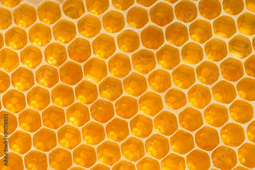 Yellow honeycomb background texture. Honey hexagon cells