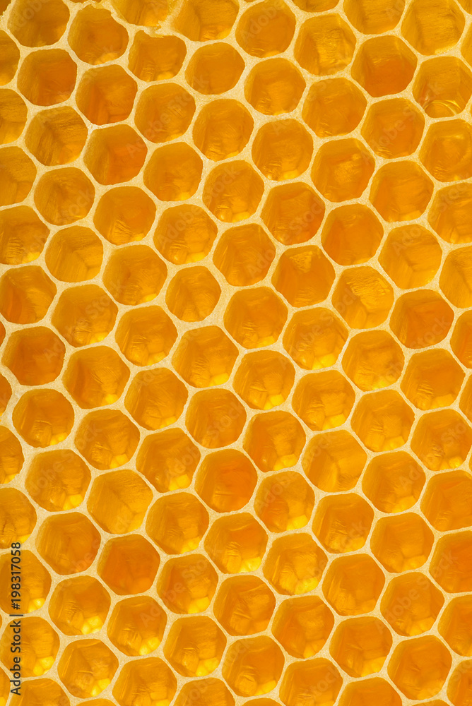 Honeycomb texture for background. Vertical composition