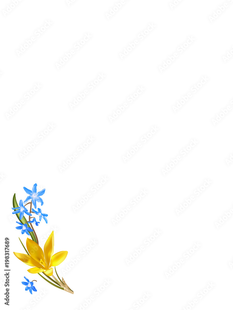 Obraz premium early spring flowers bg