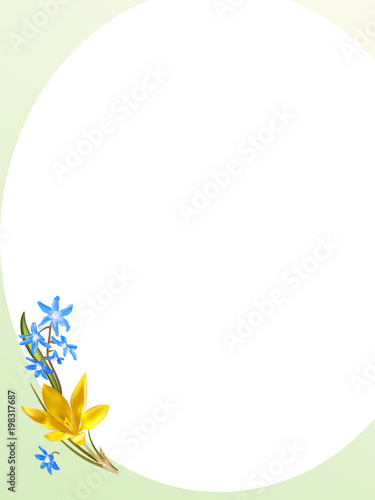 Crocus and scilla flowers background
