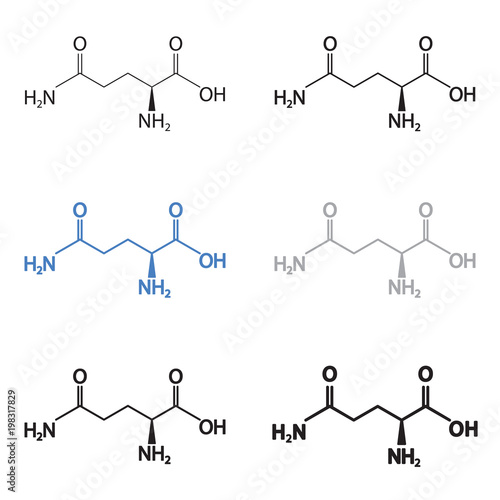  Glutamine, L-gluatimine molecular structural chemical formula set. Vector icon.