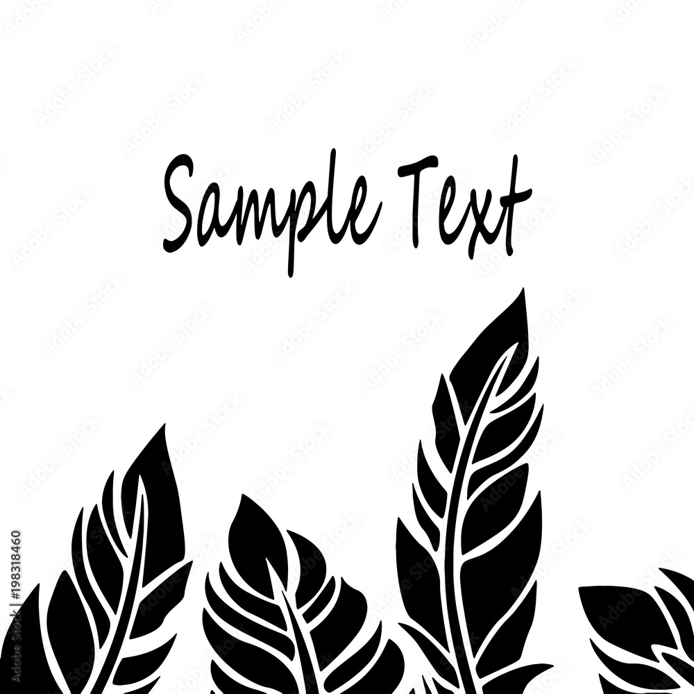 Obraz premium Contour vector frame - beautiful feathers, close-up.