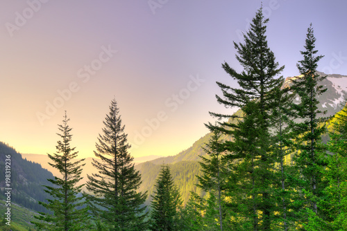 Fototapeta Naklejka Na Ścianę i Meble -  Panoramic view of Mount Rainier National Park, Washington State, USA
