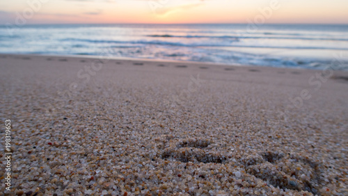 Sunset background with bird footprints close-up