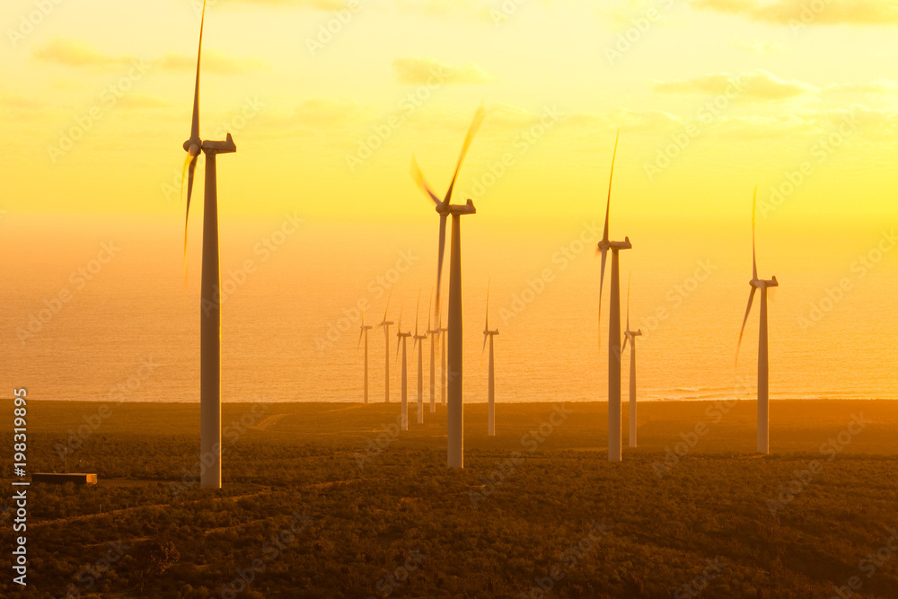 Obraz premium Windmills at wind farm in Coquimbo Region, Chile