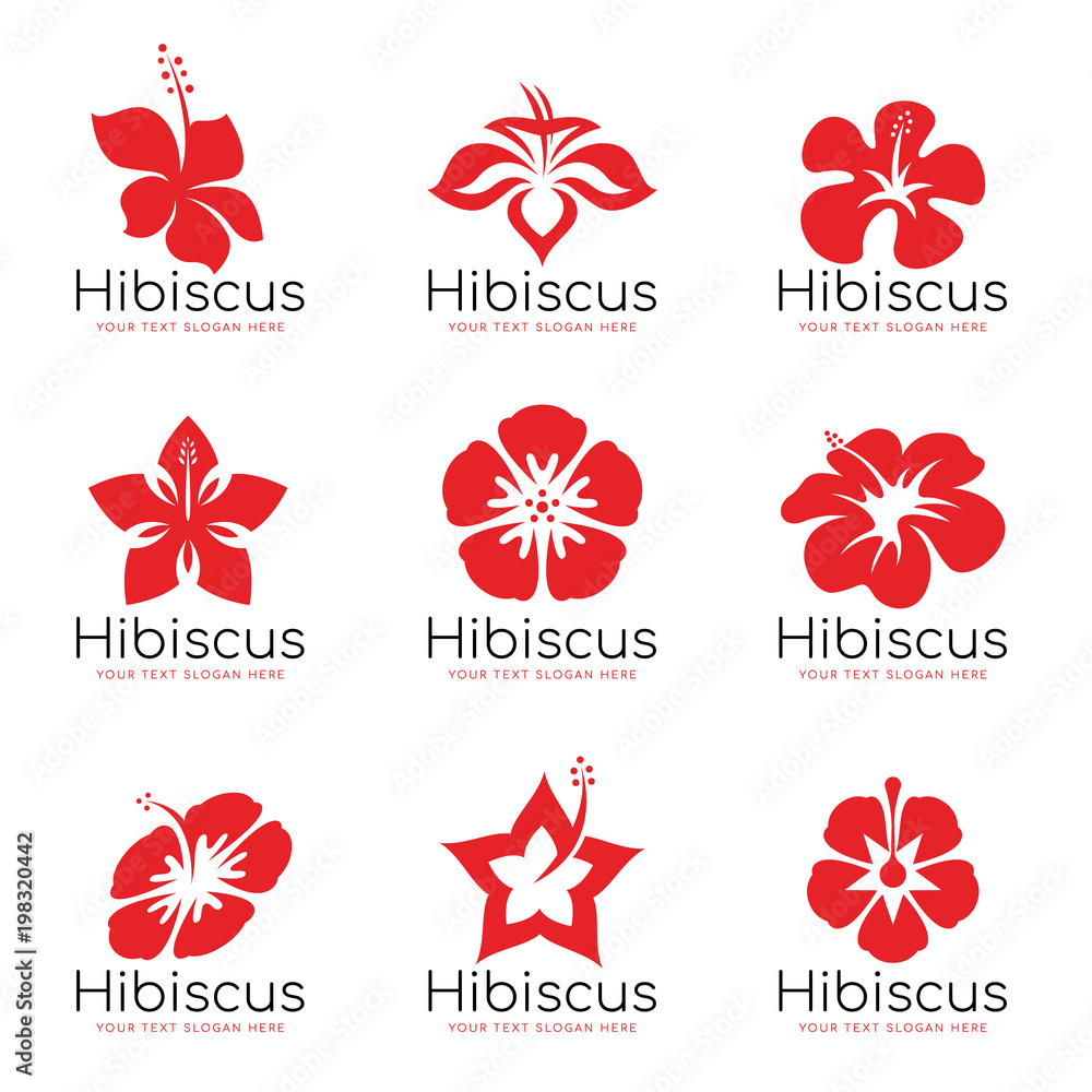 Red Hibiscus flower logo sign vector set design - obrazy, fototapety, plakaty 