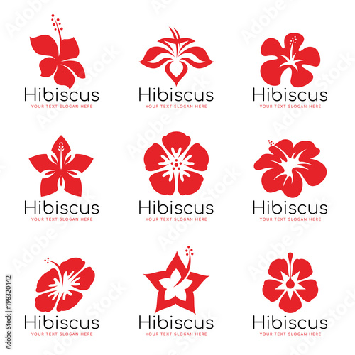 Red Hibiscus flower logo sign vector set design photo