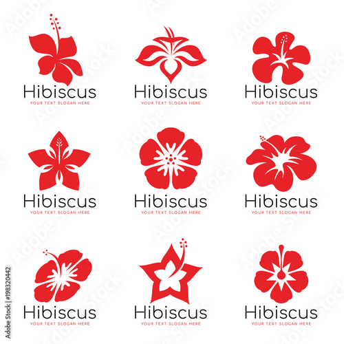 Red Hibiscus flower logo sign vector set design