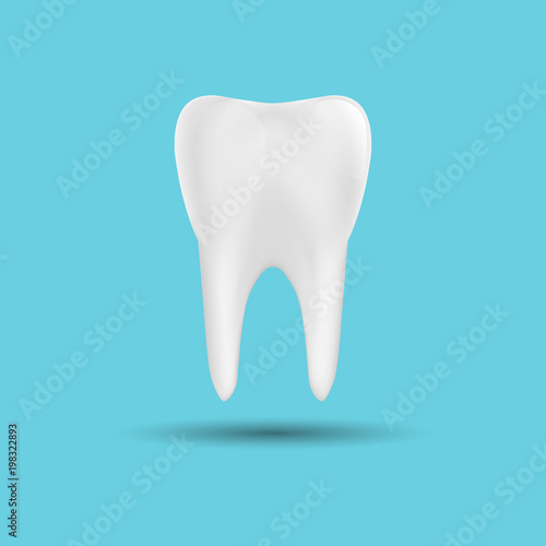 Tooth isolated on a blue background. Design element. Vector illustration.
