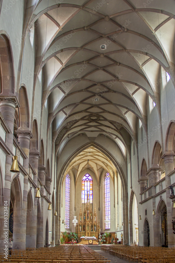 Molsheim. Intérieur de l'église des jésuites Saint-Georges. Bas-Rhin. Alsace. Grand Est
