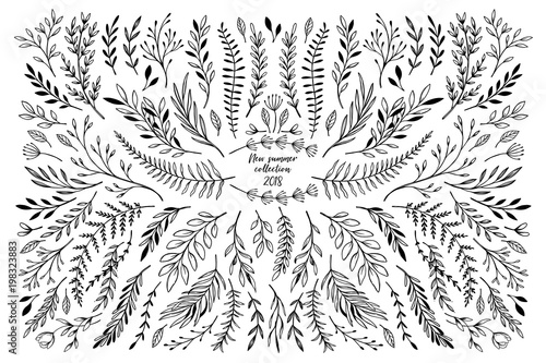 Hand sketched vector floral elements ( leaves, flowers, swirls and branches). Botanical illustrations. Perfect for wedding invitations, greeting cards, quotes, blogs, Frames