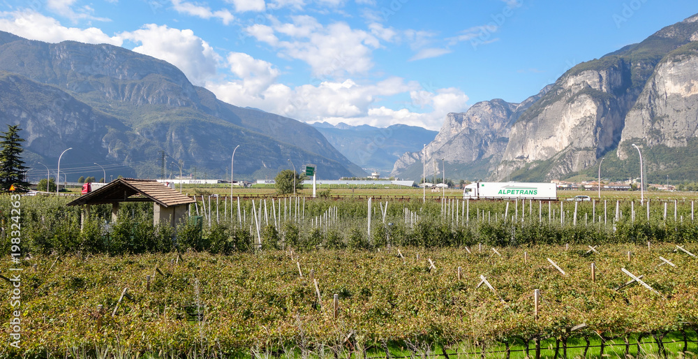 Naklejka premium Blick in die Roccetta Schlucht, Trentino