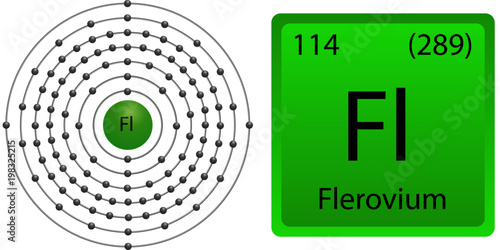 Flevovium Atom Shell