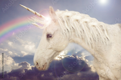 Obraz na płótnie tęcza koń niebo 3D