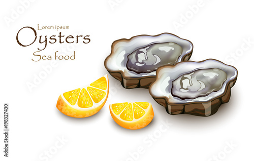 Oysters and lemon Vector realistic detailed 3d illustrations
