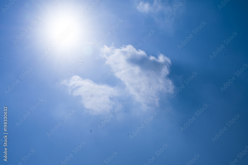 sunny sky with a cloud