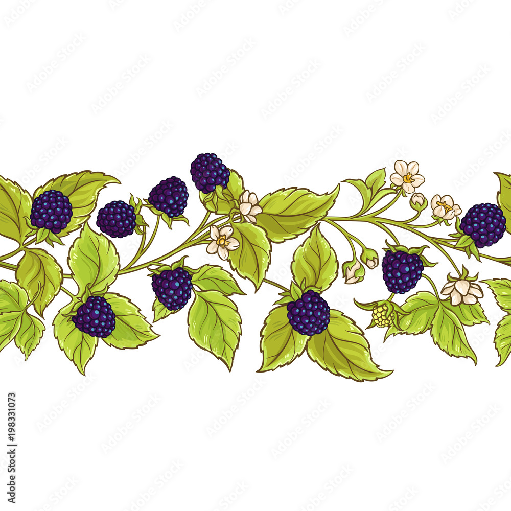 Naklejka premium blackberry vector pattern