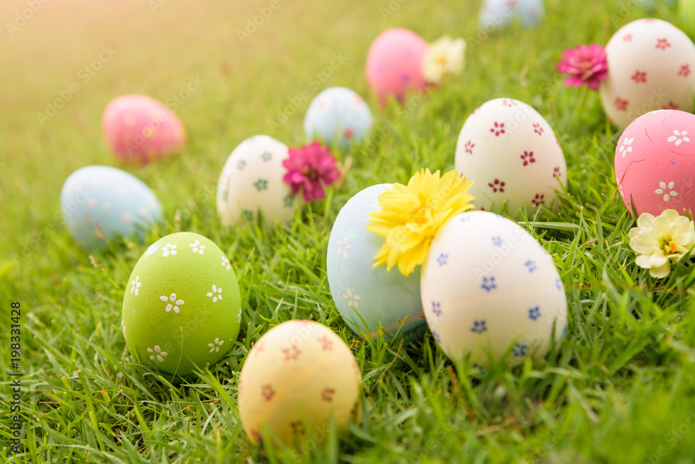 Happy easter! Closeup Colorful Easter eggs in nest on green grass field during sunset background. Happy easter! Closeup Colorful Easter eggs in nest on green grass field during sunset background.