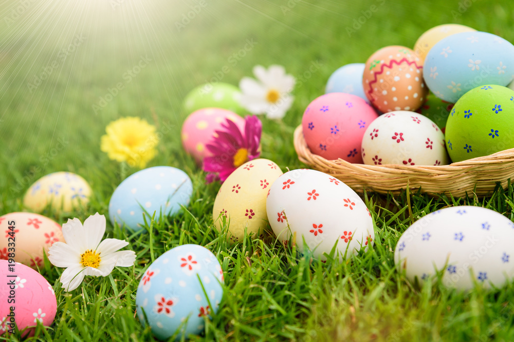 Happy easter! Closeup Colorful Easter eggs in nest on green grass field during sunset background. Happy easter! Closeup Colorful Easter eggs in nest on green grass field during sunset background.