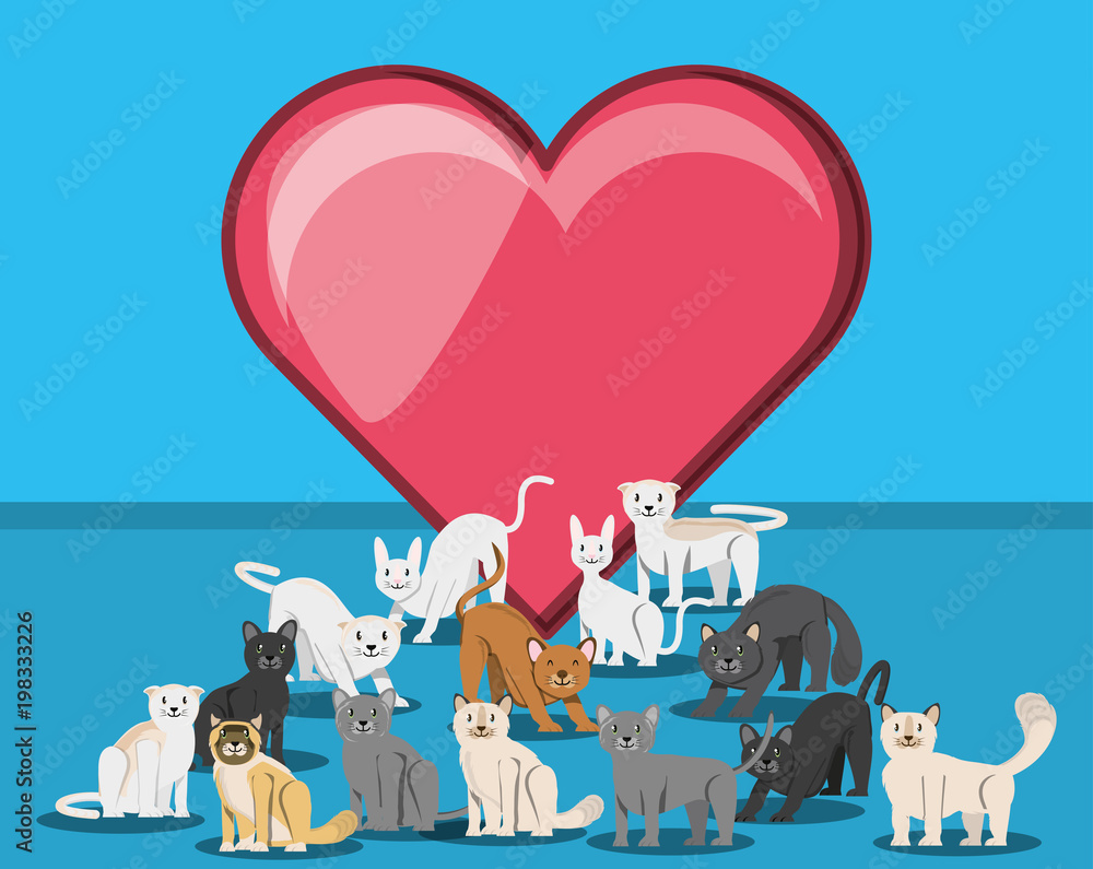 group of cats with heart characters group of cats with heart characters