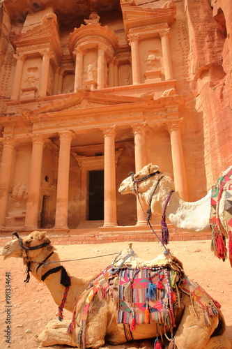The Treasury (Al Khazneh) with camels in the foreground, Petra, Jordan, Middle East photo