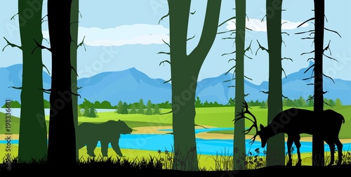 Wildlife vector silhouettes, northern forest trees and deer and bear silhouettes, wildlife concept