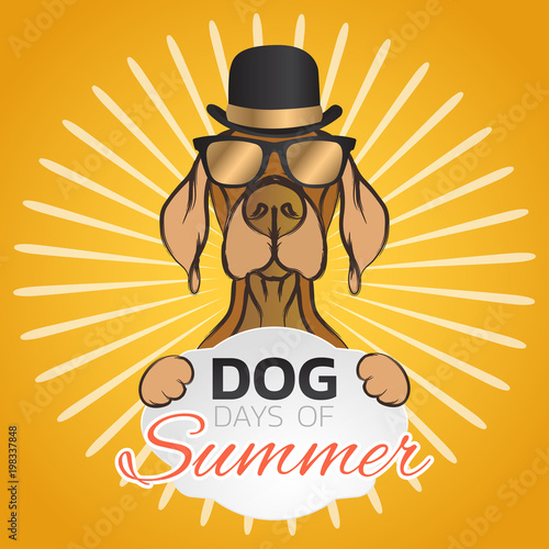 Dog days of summer logo icon design, vector illustration