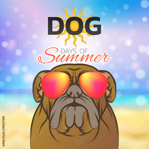 Dog days of summer logo icon design, vector illustration