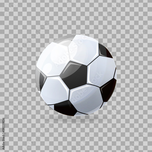 Beautiful realistic classic  soccer ball  playing football  collective occupation.