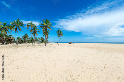  tropical beach in Sri Lanka © Pakhnyushchyy