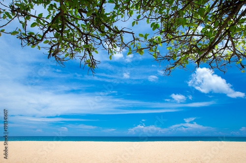 Fototapeta Naklejka Na Ścianę i Meble -   tropical beach in Sri Lanka