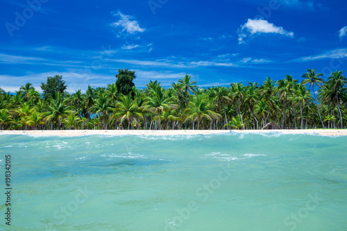 Fototapeta Naklejka Na Ścianę i Meble -   tropical beach in Sri Lanka