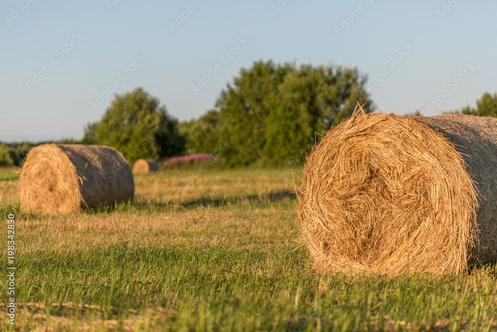 Haystack on the field,August,Evening