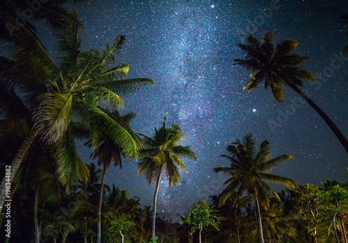 Night shot with palm trees and milky way in background