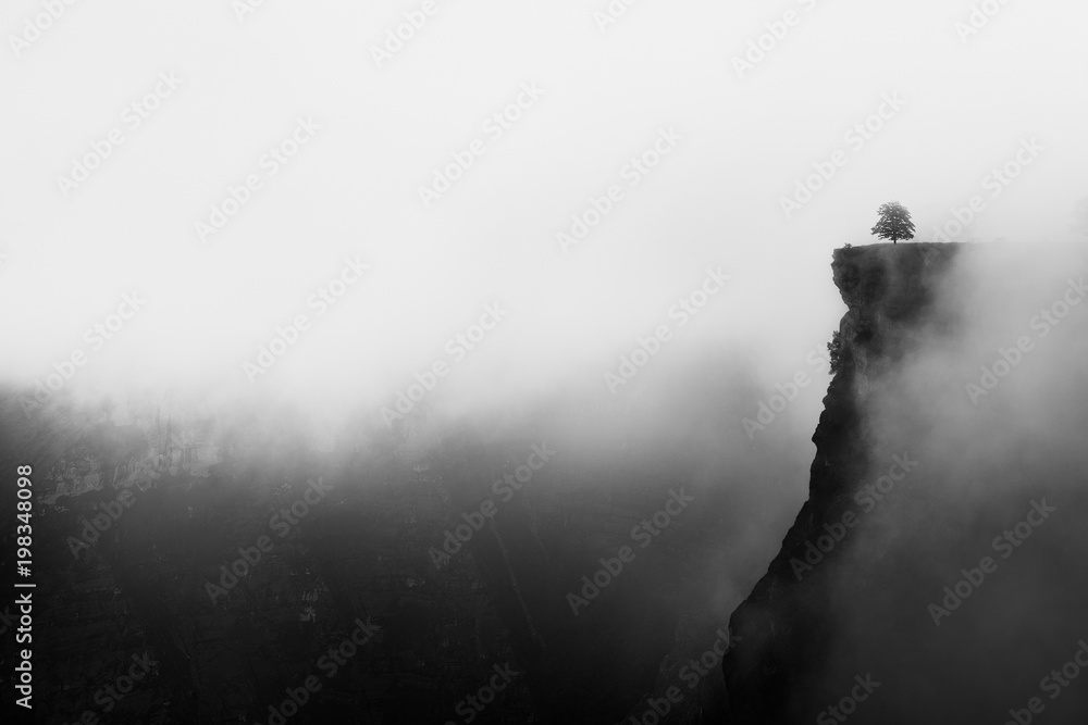 misty canyon with sharp cliff iin Delika - obrazy, fototapety, plakaty 