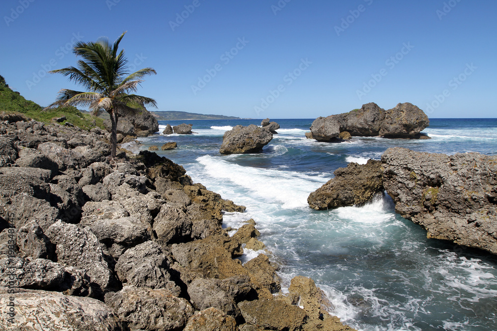 Wave breaking among rocky shoreline, Barbados, Lesser Antilles, Caribbean