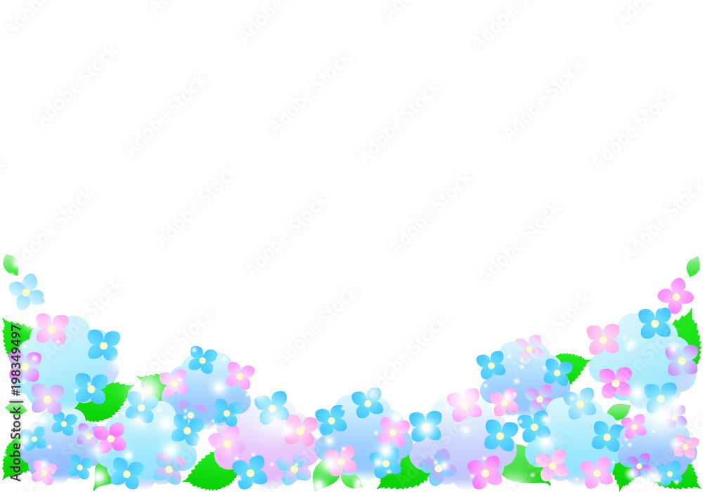 紫陽花 梅雨イメージ 紫陽花 梅雨イメージ