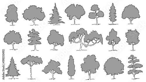 various gray tree