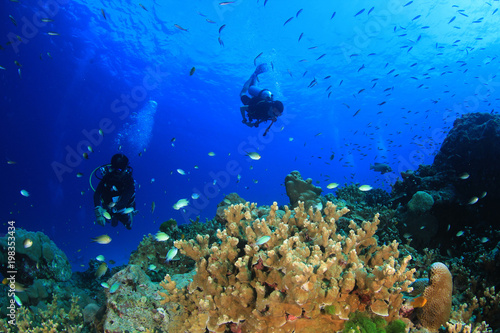 Fototapeta Naklejka Na Ścianę i Meble -  Scuba divers on coral reef