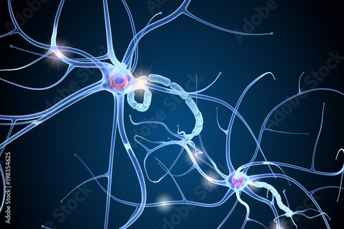 Nerve cell anatomy in details. 3D illustration