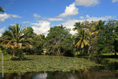 Fototapeta Naklejka Na Ścianę i Meble -  Zapata Swamp Landscape, Zapata Peninsula, Cuba