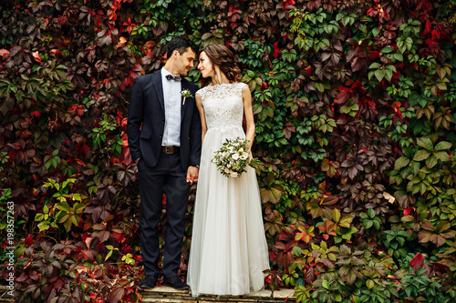 Bride and groom newlyweds walking and kiss each other near ivy wall