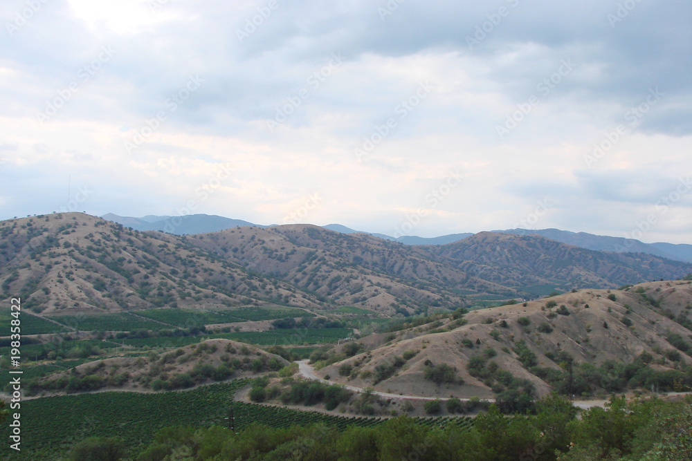 Panorama of the Crimean vineyards in the valleys between the mountain ranges against the background of the cloudy summer sky.