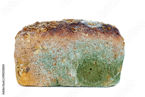 Loaf of rye bread with mold photo