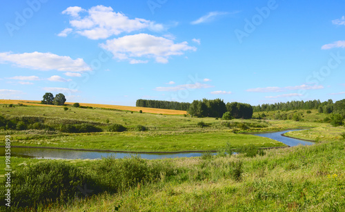 Sunny summer landscape with birch grove and field of ripe wheat.River flowing between the meadows and the green hills.Beautiful scene and view. 