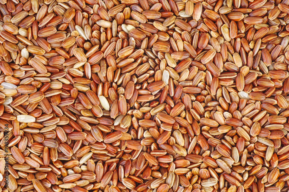 Food background:dried red rice Food background:dried red rice