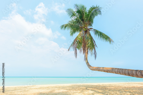 Fototapeta Naklejka Na Ścianę i Meble -  Tropical beach and coconut tree