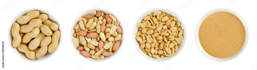 Peanuts in white porcelain bowls. Roasted groundnuts in shells, shelled, salted and crunchy peanut butter. Snack and spread. Arachis hypogaea. Food photo close up from above on white background. Peanuts in white porcelain bowls. Roasted groundnuts in shells, shelled, salted and crunchy peanut butter. Snack and spread. Arachis hypogaea. Food photo close up from above on white background.