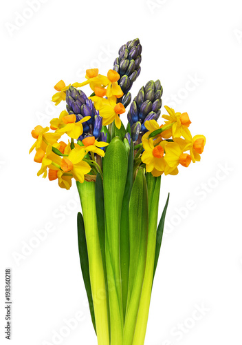 Fototapeta Naklejka Na Ścianę i Meble -  Hyacinth and narcissus flowers in a bouquet