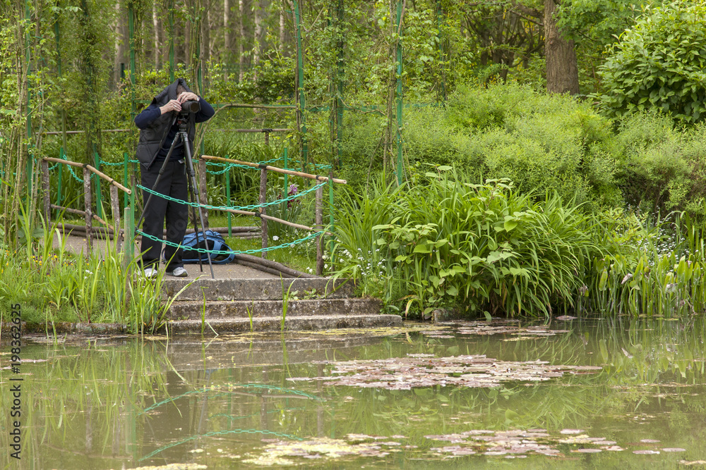Photographe devant le bassin des nymphéas Photographe devant le bassin des nymphéas